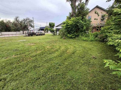 Lawn Care service in Dunedin, 34698