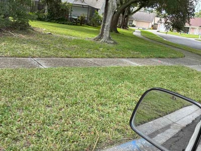 Lawn Care service in Citrus Park, 33625