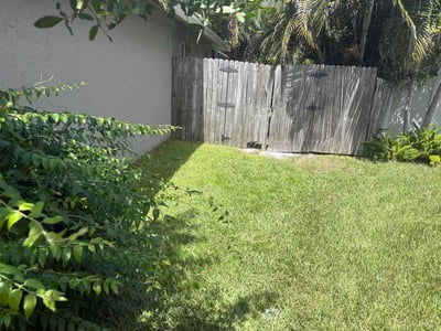 Lawn Care service in Dunedin, 34698
