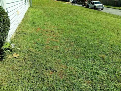Lawn Care service in Thomasville, 27360