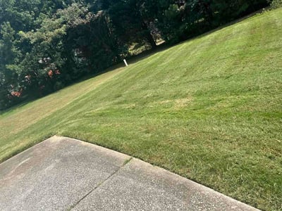 Lawn Care service in East Point, 30344