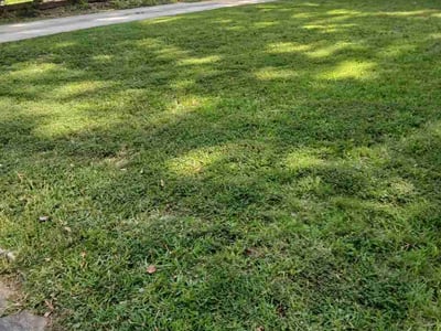 Lawn Care service in East Point, 30344