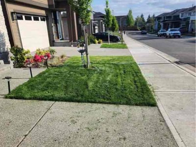 Lawn Care service in Lake Stevens, 98258