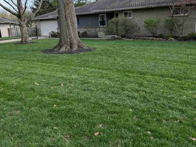 Lawn Care service in Bellefonte, 16823