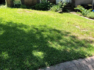 Lawn Care service in Brockton, 02301