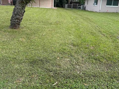 Lawn Care service in St Cloud, 34769