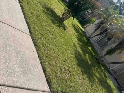Lawn Care service in St Cloud, 34769