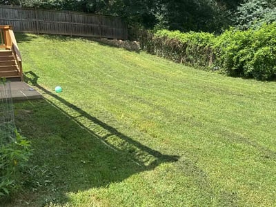 Lawn Care service in Wayland, 01778