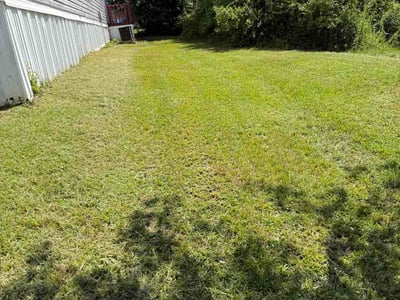Lawn Care service in Fayetteville, 30214