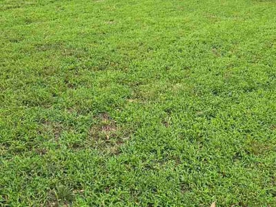Lawn Care service in Mission, 66202