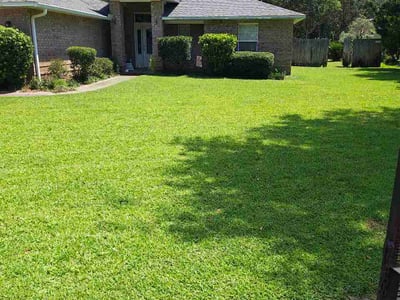 Lawn Care service in Gulf Breeze, 32561
