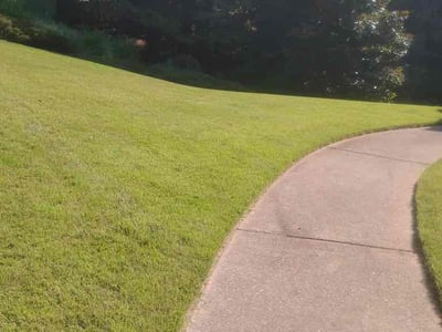Lawn Care service in Duluth, 30096