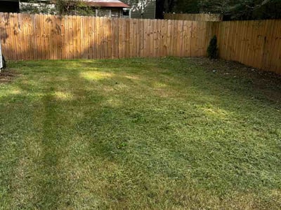 Lawn Care service in Griffin, 30224