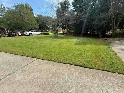 Lawn Care service in Duluth, 30096