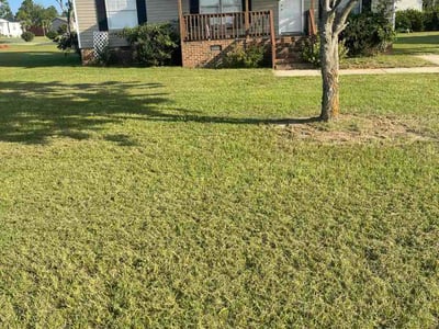 Lawn Care service in Medford, 02155