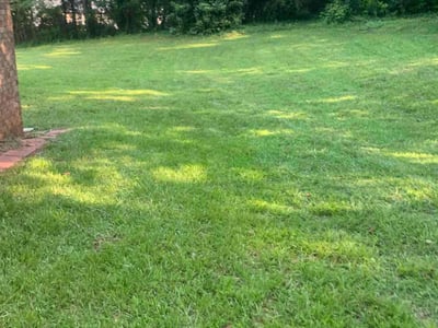 Lawn Care service in Forest Park, 30297