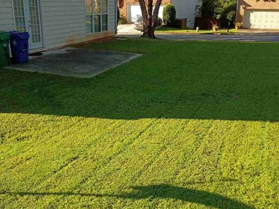 Lawn Care service in Joplin, 64801
