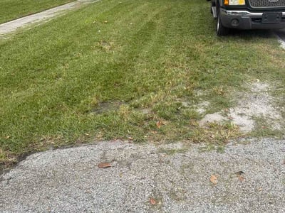 Lawn Care service in Maitland, 32751