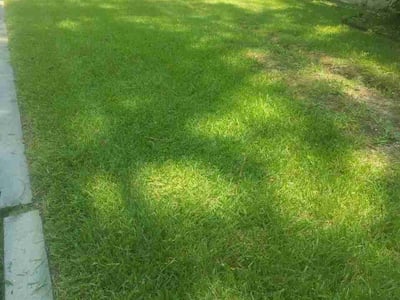 Lawn Care service in Ridgecrest, 93555