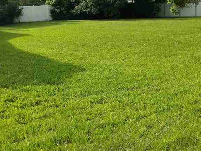 Lawn Care service in Maitland, 32751