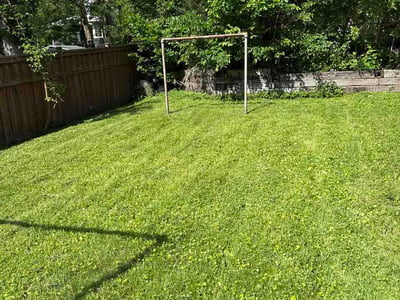 Lawn Care service in Zimmerman, 55398