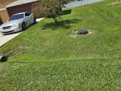 Lawn Care service in Winter Haven, 33881