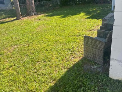 Lawn Care service in Newburyport, 01950