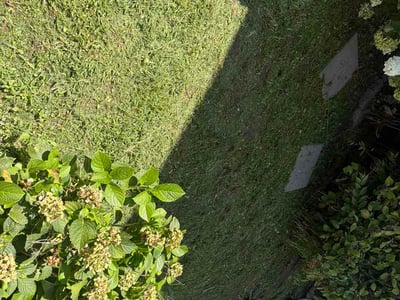 Lawn Care service in Piscataway, 08854