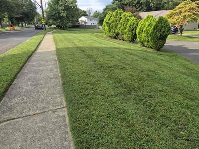 Lawn Care service in Piscataway, 08854