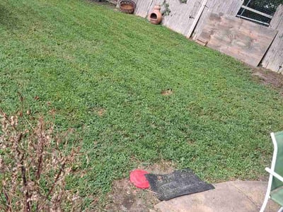 Lawn Care service in Pacific, 63069
