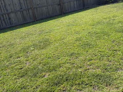 Lawn Care service in Piscataway, 08854