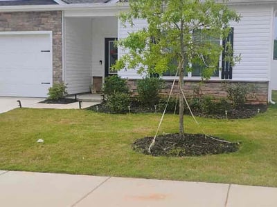 Lawn Care service in Piscataway, 08854