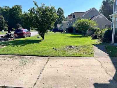 Lawn Care service in Christiansburg, 24073