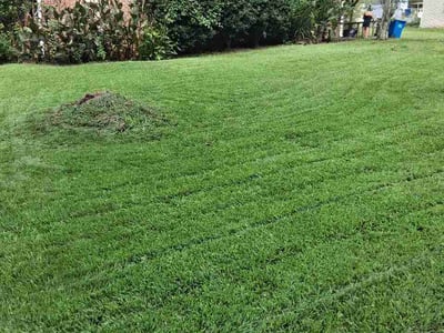 Lawn Care service in Utica, 13501