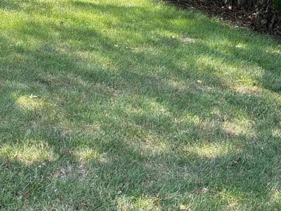 Lawn Care service in Piscataway, 08854