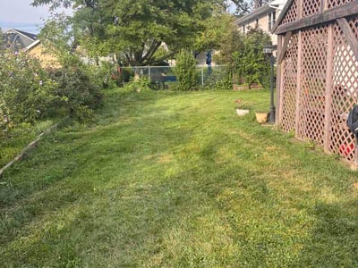 Lawn Care service in Piscataway, 08854