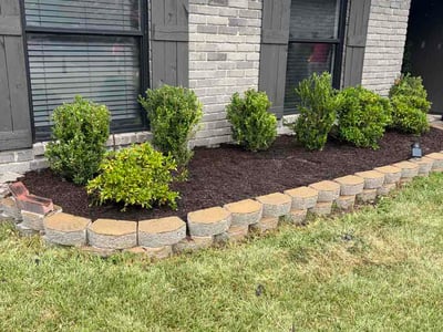 Lawn Care service in Tyler, 75702