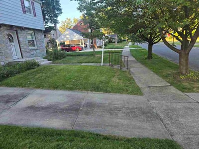 Lawn Care service in Camp Hill, 17011