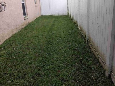 Lawn Care service in Dade City, 33525