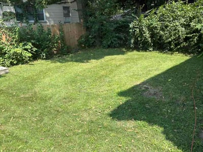 Lawn Care service in Normal, 61761
