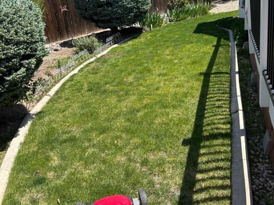Lawn Care service in Reno, 89501