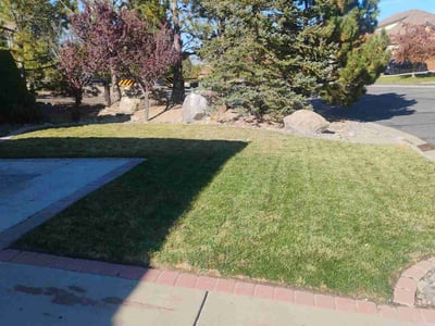 Lawn Care service in Reno, 89501