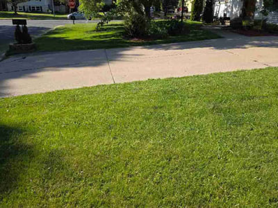 Lawn Care service in Stoughton, 53589