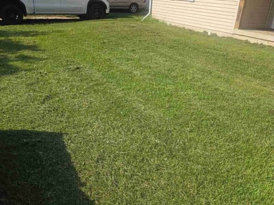 Lawn Care service in Elkhart, 46516