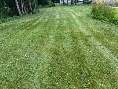 Lawn Care service in Shorewood, 53211