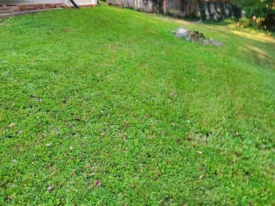 Lawn Care service in Tucker, 30084