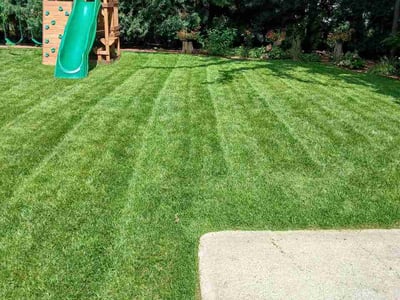 Lawn Care service in Shorewood, 53211