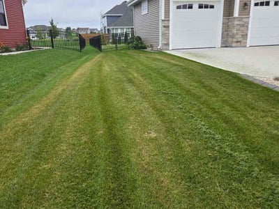 Lawn Care service in Grafton, 53024