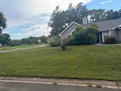 Lawn Care service in Brandon, 33511