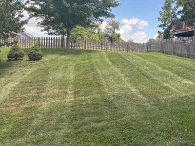 Lawn Care service in Lees Summit, 64063